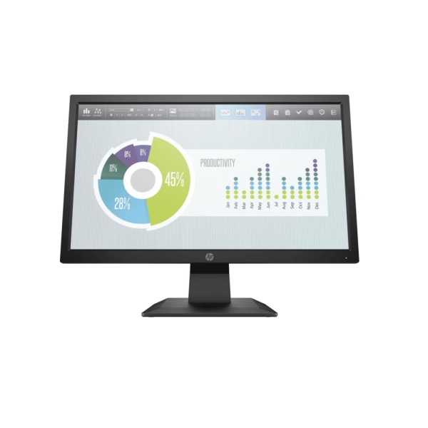 P204v Monitor 19.5"