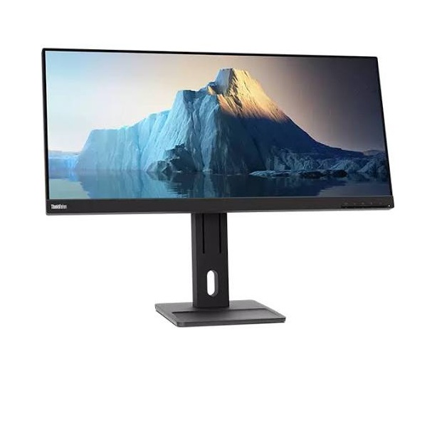 ThinkVision E29w-20